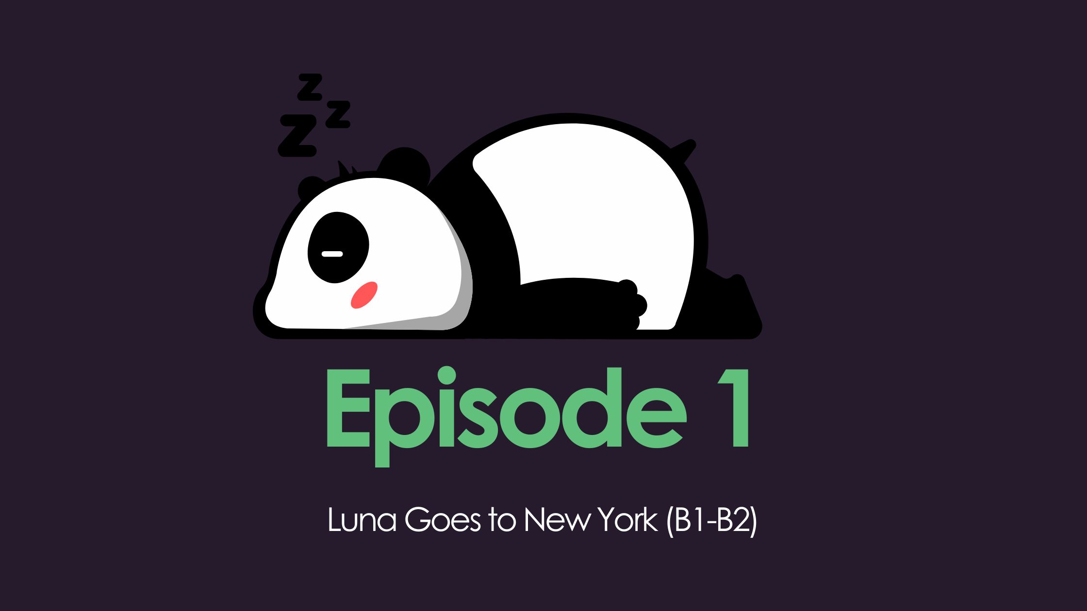 Luna Goes to New York (B1-B2 English)